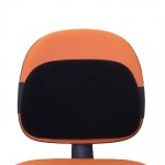 Cojín Lumbar Ergonométrico