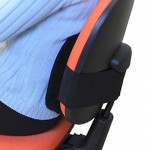 Cojín Lumbar Ergonométrico